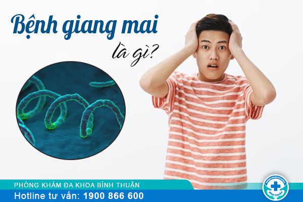 Bệnh giang mai là gì? làm sao nếu bị nhiễm giang mai?