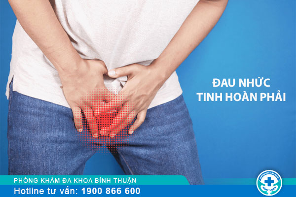 Đau nhức tinh hoàn bên phải có nguy hiểm không?