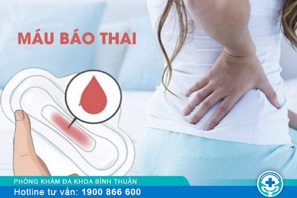 Máu báo thai là gì? Địa chỉ khám thai nhanh chóng, chính xác hiện nay