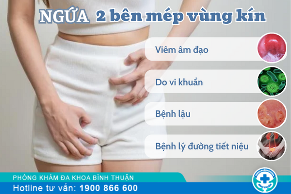 Ngứa hai bên mép vùng kín do bệnh gì?