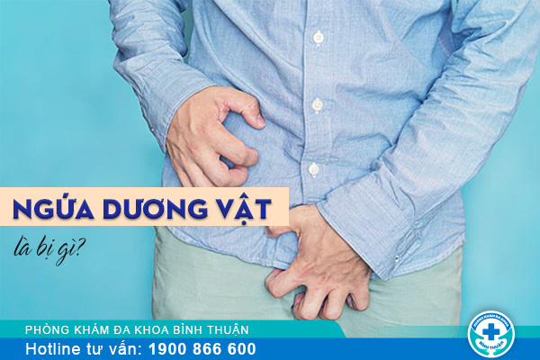 Ngứa dương vật và cách điều trị hiệu quả