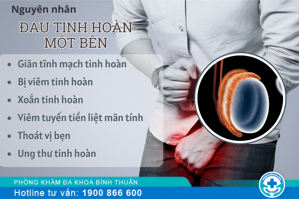 Đau tinh hoàn một bên do bệnh gì?