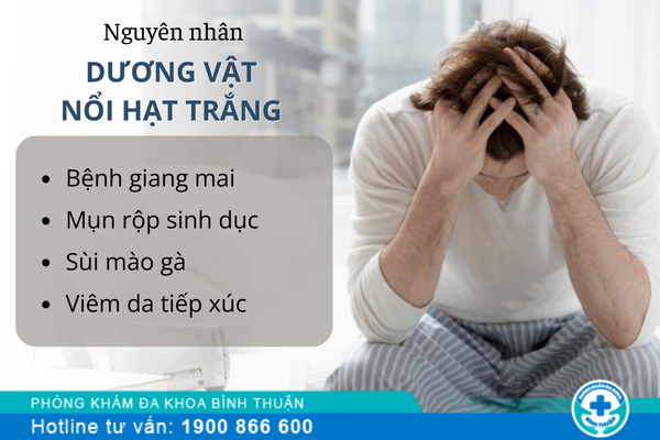 Dương vật nổi hột trắng là bệnh gì?