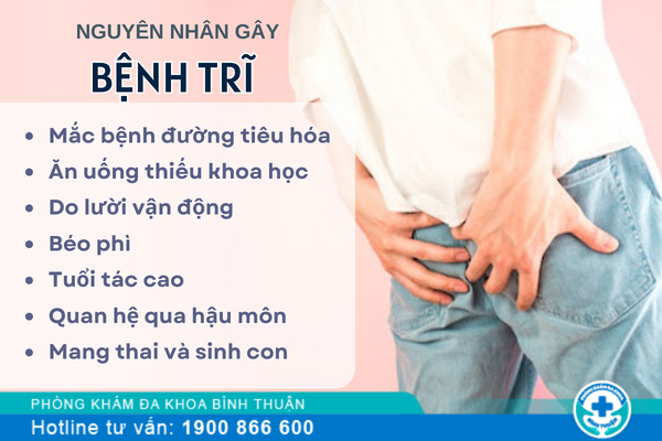 Nguyên nhân gây bệnh trĩ và cách điều trị