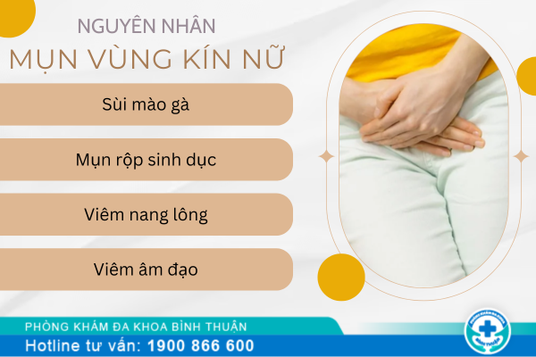 Mụn vùng kín và các bệnh lý nguy hiểm dễ nhầm lẫn