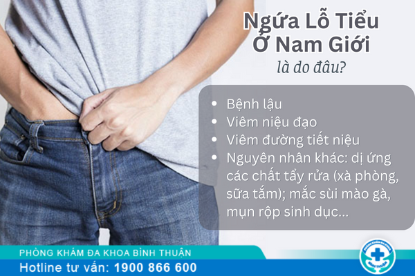 Ngứa Lỗ Tiểu Nam Là Bệnh Gì?