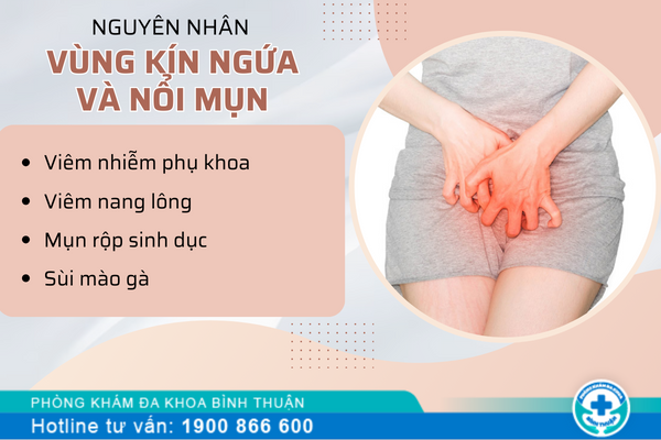 Tại sao chị em bị ngứa và nổi mụn vùng kín?