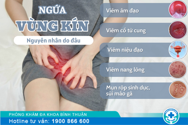 Bị ngứa vùng kín là bệnh gì?