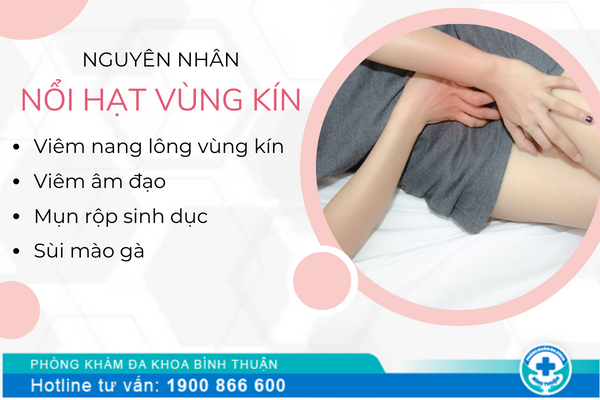 Nổi hạt vùng kín là triệu chứng của bệnh gì?