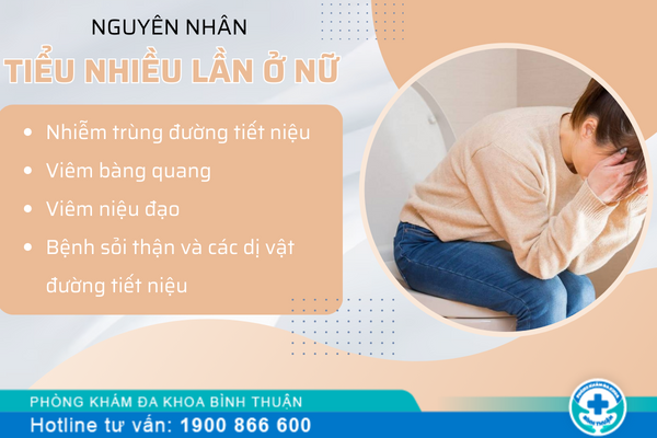 Bị tiểu nhiều ở nữ giới là do đâu? Điều trị ra sao?