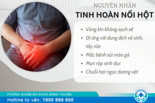 Tinh hoàn bị nổi hột là bệnh gì?