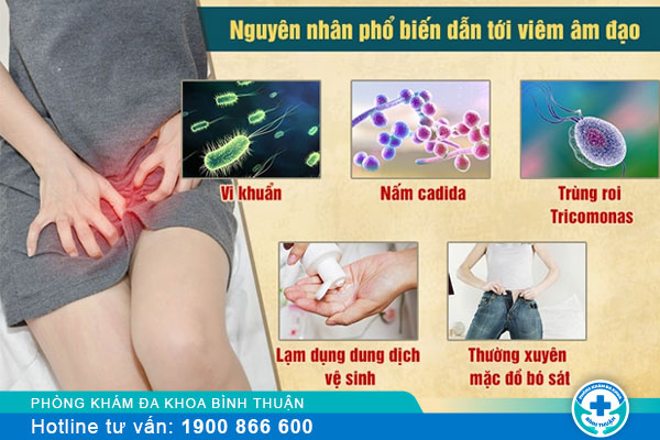 Nguyên Nhân Viêm Âm Đạo Là Gì?