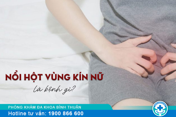 Nổi hột vùng kín nữ do bệnh gì?