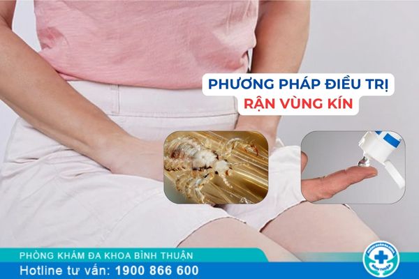 Rận vùng kín là gì? Phương pháp điều trị bệnh rận vùng kín