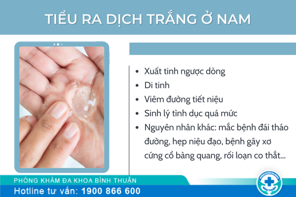 Tiểu Ra Dịch Trắng Ở Nam Giới