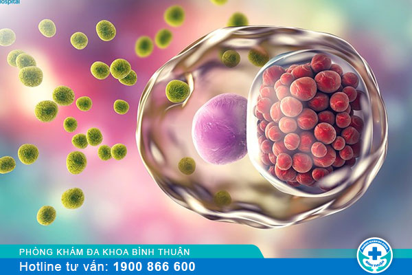 Vi khuẩn Chlamydia là gì? Hậu quả khi nhiễm vi khuẩn Chlamydia này là gì?