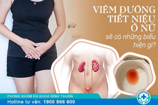 Tìm hiểu bệnh viêm đường tiết niệu ở nữ